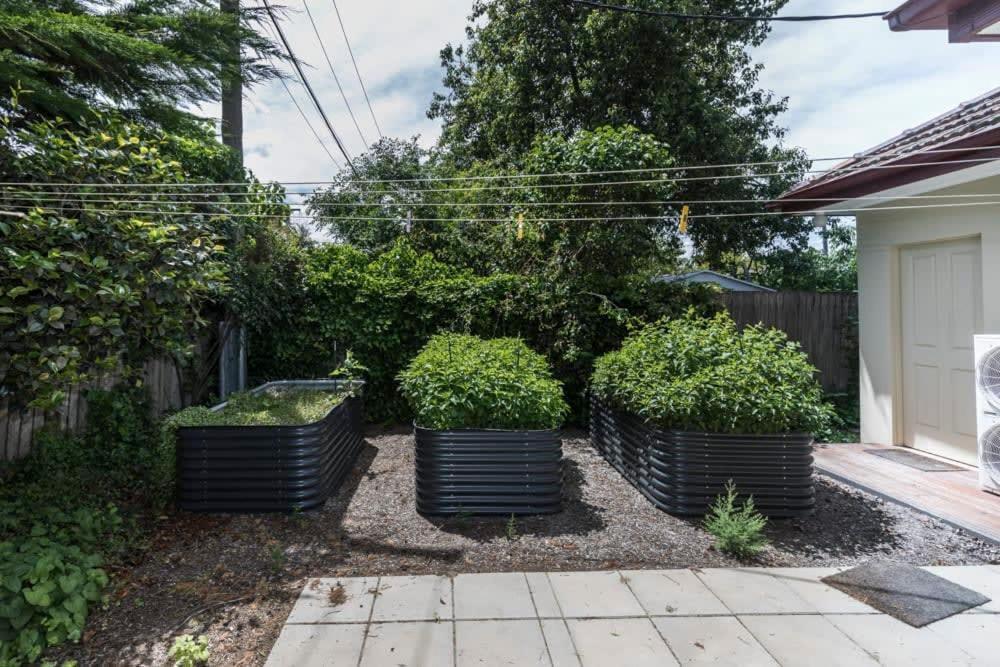 3 Bdrm 2 Bthrm House Close To Canberra Cbd & Anu Exterior photo